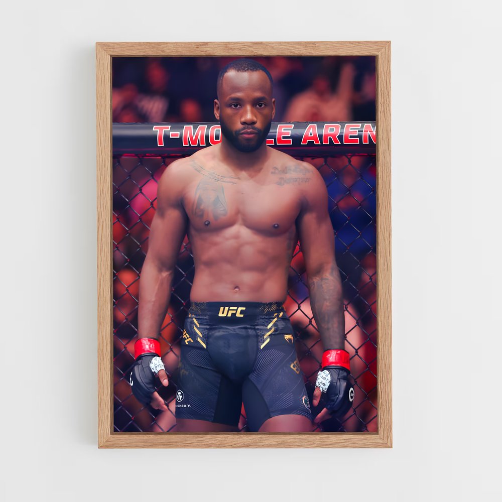 Poster The Lionheart – affiche MMA (vue 4)